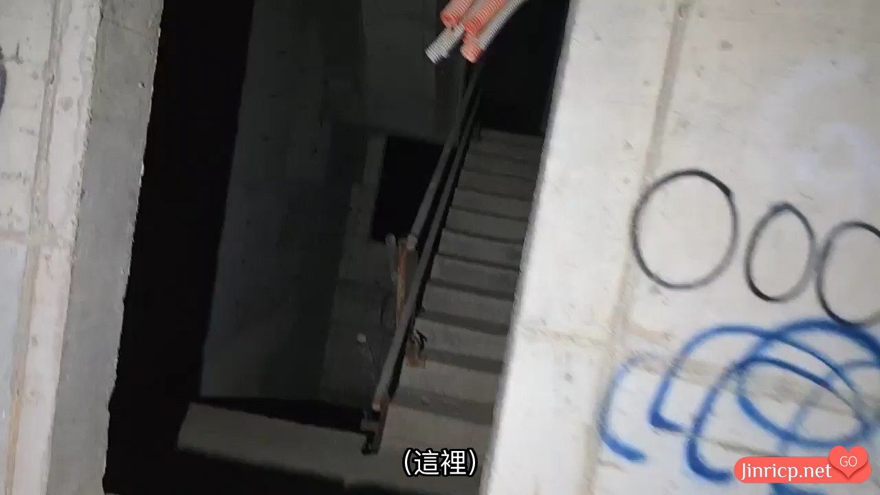 vnzlg_